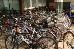 20201111_174820-scaled