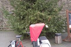 IMG_20201222_121613_3-scaled