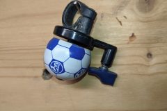 IMG_20211108_104709-scaled