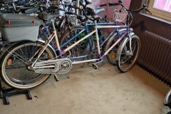 IMG_20221121_120802-scaled