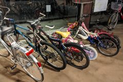 MVIMG_20220307_220201-scaled